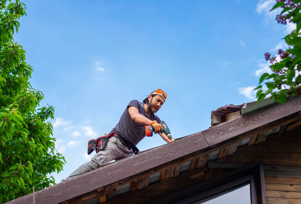 Best Roof Insulation Installation  in USA